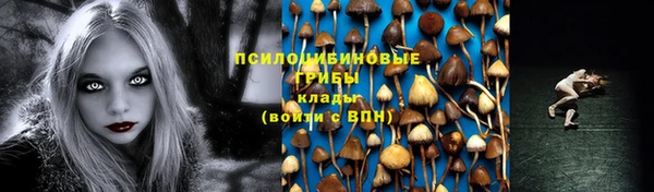 PSILOCYBIN Бугульма